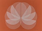 Unfolding